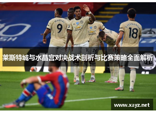 莱斯特城与水晶宫对决战术剖析与比赛策略全面解析 莱斯特城与水晶宫对决战术剖析与比赛策略全面解析