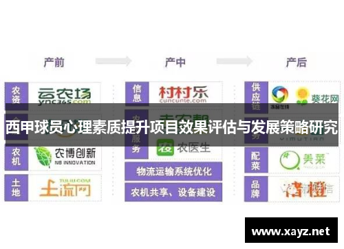 西甲球员心理素质提升项目效果评估与发展策略研究