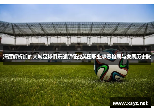 深度解析加的夫城足球俱乐部所征战英国职业联赛格局与发展历史脉 深度解析加的夫城足球俱乐部所征战英国职业联赛格局与发展历史脉